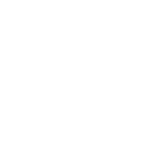 partner-fly-fish-food