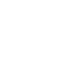 partner-golden-fly